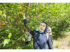 北方微波春季團(tuán)建活動圓滿成功